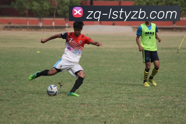 雷速体育直播平台生态图